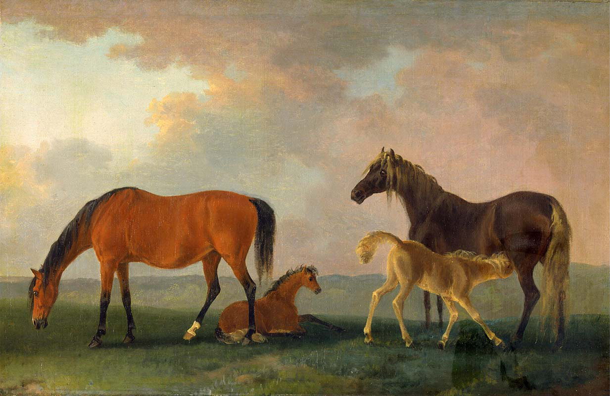Mares and Foals-Facing Left